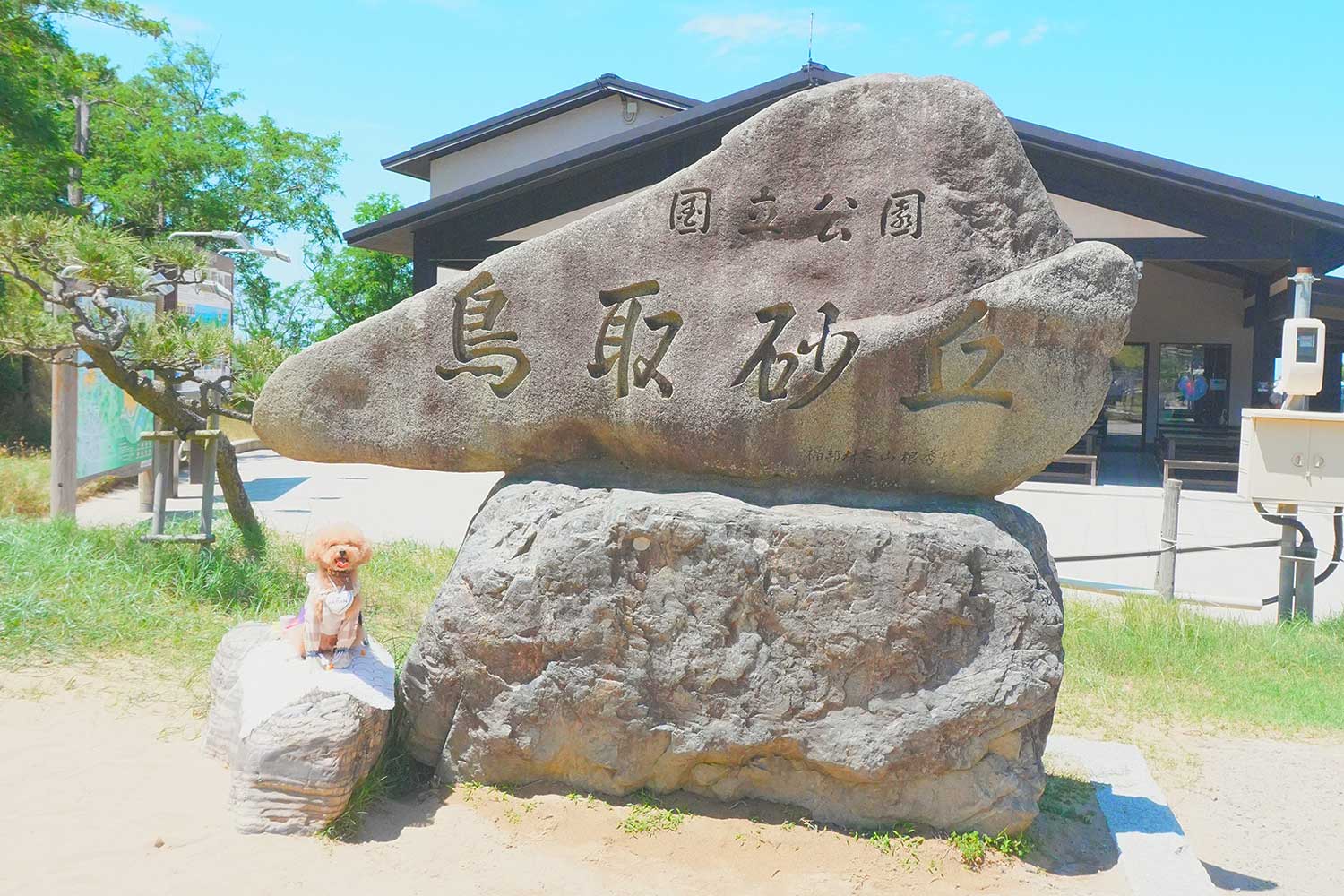 愛犬との思い出旅